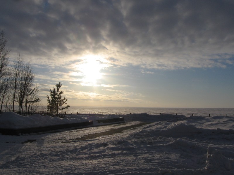 IMG_0094.jpg
