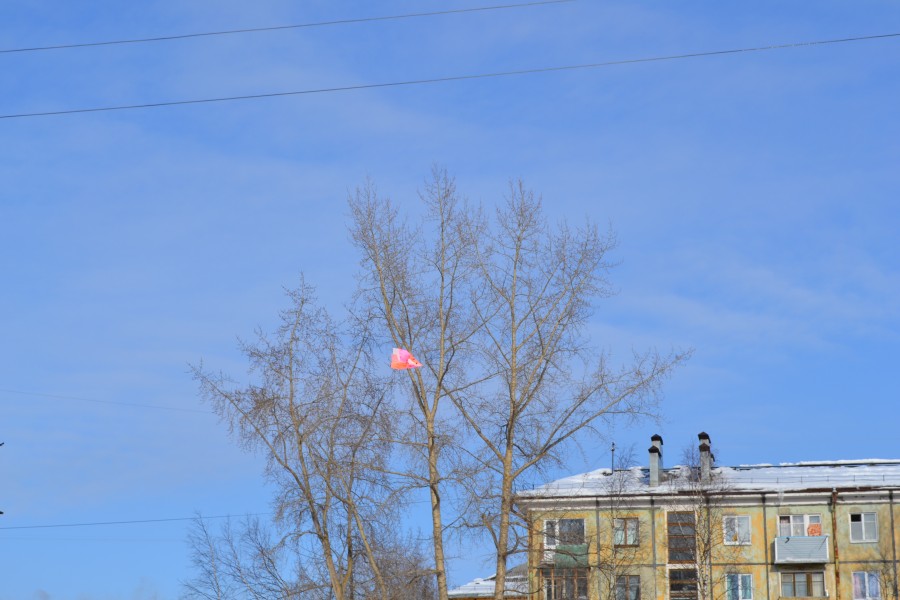 DSC_6976.jpg